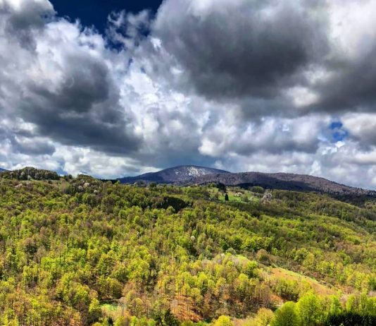 Planina Goč Planina Goč
