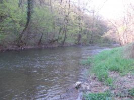 Reka Mlava Reka Mlava