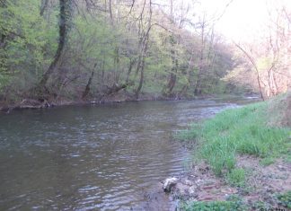 Reka Mlava Reka Mlava