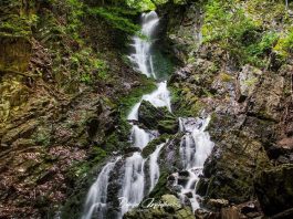 Vodopad Jelovarnik – Treći najviši vodopad u Srbiji – Kako doći? Vodopad Jelovarnik