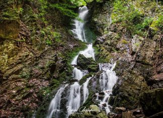 Vodopad Jelovarnik – Treći najviši vodopad u Srbiji – Kako doći? Vodopad Jelovarnik