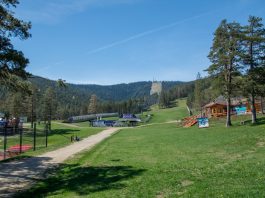 Top 10 najviših vrhova Zlatibora Najviši vrhovi Zlatibora