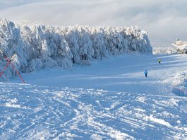 Planina Crni vrh – Istočna Srbija Crni vrh
