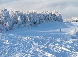 Planina Crni vrh – Istočna Srbija Crni vrh