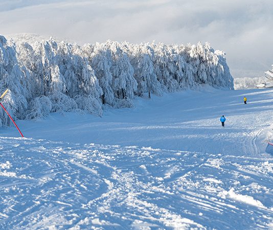 Planina Crni vrh – Istočna Srbija Crni vrh