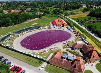 Termalna banja Pačir – Roze jezero u Srbiji Termalna banja Pačir