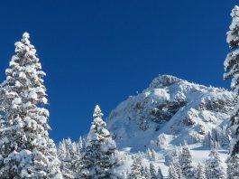 Najviši vrhovi Kopaonika – Top 10 – Pančićev vrh Najviši vrhovi Kopaonika