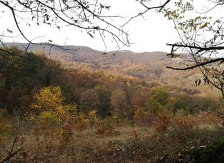 Planina Kotlenik nadomak Kraljeva – Centralna Srbija Planina Kotlenik