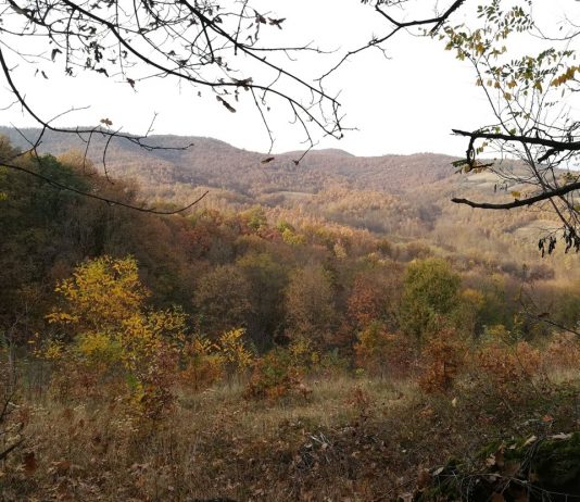 Planina Kotlenik nadomak Kraljeva – Centralna Srbija Planina Kotlenik