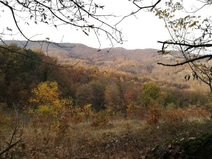 Planina Kotlenik