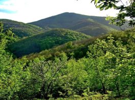 Juhor – Misteriozna planina neizmerne lepote Juhor