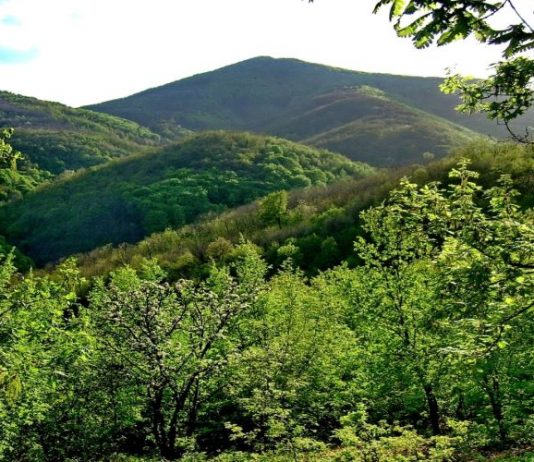 Juhor – Misteriozna planina neizmerne lepote Juhor