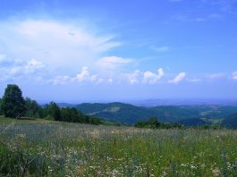 Crni vrh – Šumadijske planine (Kragujevac) Crni vrh