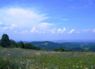Crni vrh – Šumadijske planine (Kragujevac) Crni vrh