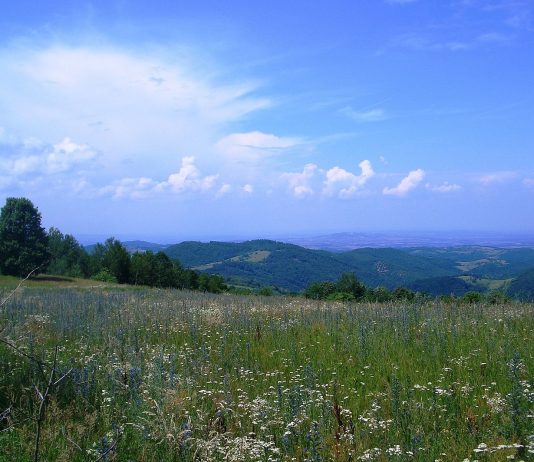 Crni vrh – Šumadijske planine (Kragujevac) Crni vrh