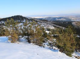 Planina Maljen – Zapadna Srbija Divčibare