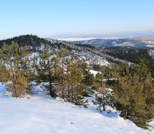Planina Maljen – Zapadna Srbija Divčibare