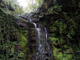 Ćorov vodopad – Prirodna lepota opštine Medveđa Ćorov vodopad