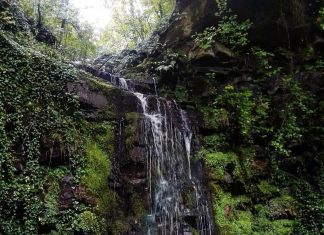 Ćorov vodopad – Prirodna lepota opštine Medveđa Ćorov vodopad