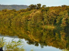 Pariguz – Resničko jezero u Beogradu Pariguz jezero