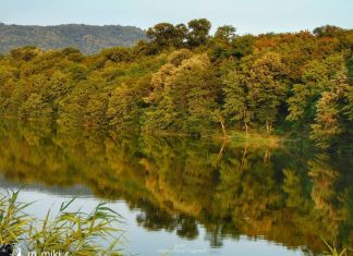 Pariguz – Resničko jezero u Beogradu Pariguz jezero