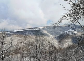 Najviši vrh Šumadije i Rudnika – Cvijićev vrh (1132mnv) Najviši vrh Šumadije