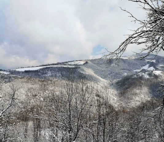 Najviši vrh Šumadije i Rudnika – Cvijićev vrh (1132mnv) Najviši vrh Šumadije