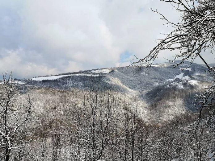 Najviši vrh Šumadije