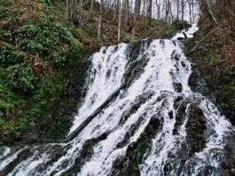 Vodopad Ripivoda na Radan planini – 40 metara visine Vodopad Ripivoda