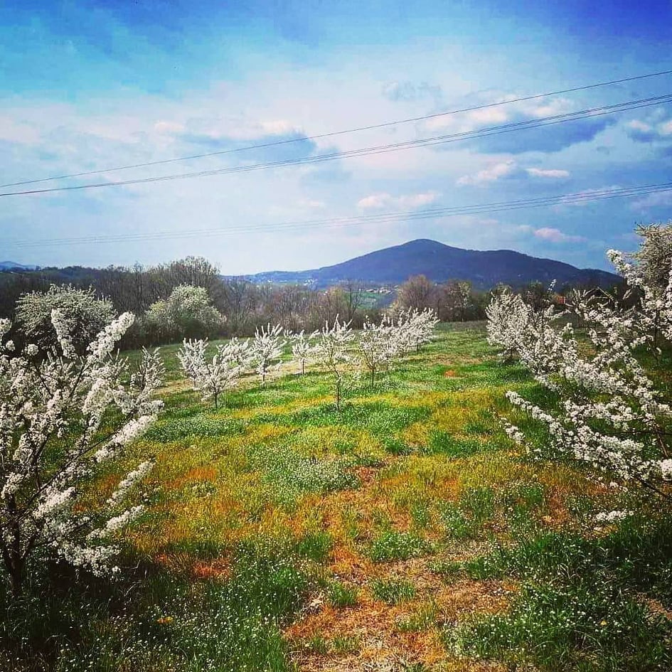 Planina Vujan