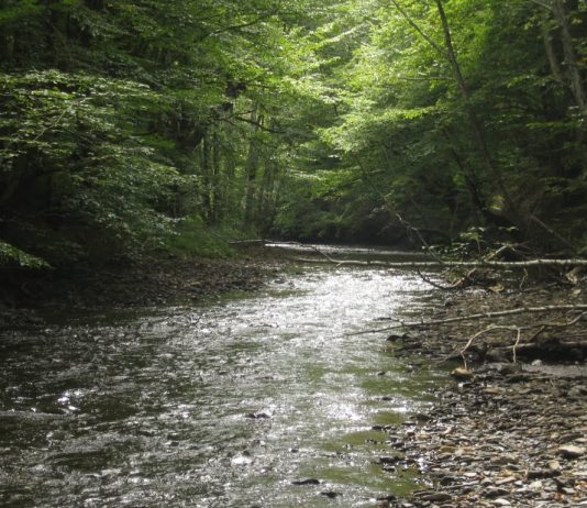 Reka Nošnica – Najčistija reka Moravičkog okruga Reka Nošnica