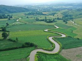 Reka Gruža Reka Gruža