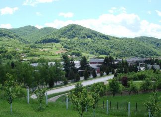 Planina Vujan – Mesto gde je izlečen Patrijarh Pavle Planina Vujan
