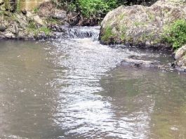 Pusta reka – Reka sa Radan planine (crnomorski sliv) Pusta reka