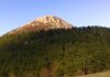 Planina Devica – Bogorodična planina Planina Devica