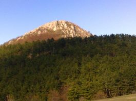 Planina Devica – Bogorodična planina Planina Devica