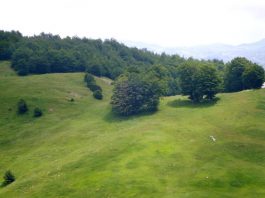 Planina Javorje i najviši vrh Ober (1486mnv) Planina Javorje