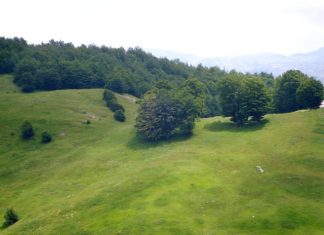 Planina Javorje i najviši vrh Ober (1486mnv) Planina Javorje