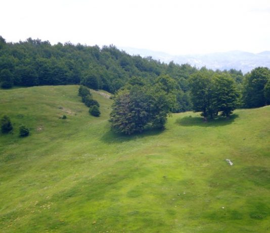 Planina Javorje i najviši vrh Ober (1486mnv) Planina Javorje