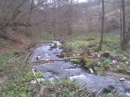 Graševačka reka na Kopaoniku – 1540 metara NV Graševačka reka