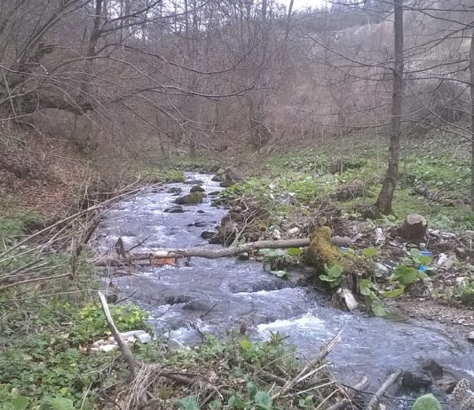 Graševačka reka na Kopaoniku – 1540 metara NV Graševačka reka