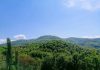 Gučevo – Planina čistog vazduha, šuma i istorije Planina Gučevo