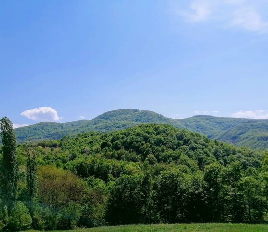 Gučevo – Planina čistog vazduha, šuma i istorije Planina Gučevo