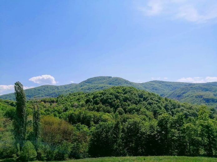 Planina Gučevo
