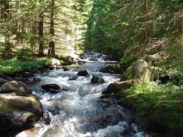 Toplica – Jedina reka u Evropi koja teče uzbrdo Toplica