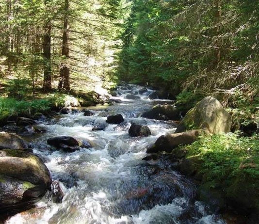 Toplica – Jedina reka u Evropi koja teče uzbrdo Toplica