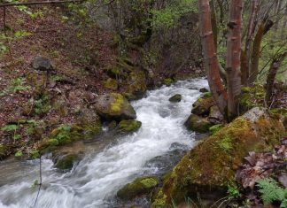 Resava – Najduža desna pritoka Velike Morave Resava