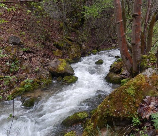 Resava – Najduža desna pritoka Velike Morave Resava