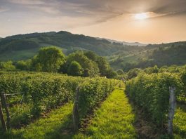 Bobija – Planina i netaknuti dragulj zapadne Srbije Planina Bobija