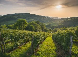 Bobija – Planina i netaknuti dragulj zapadne Srbije Planina Bobija